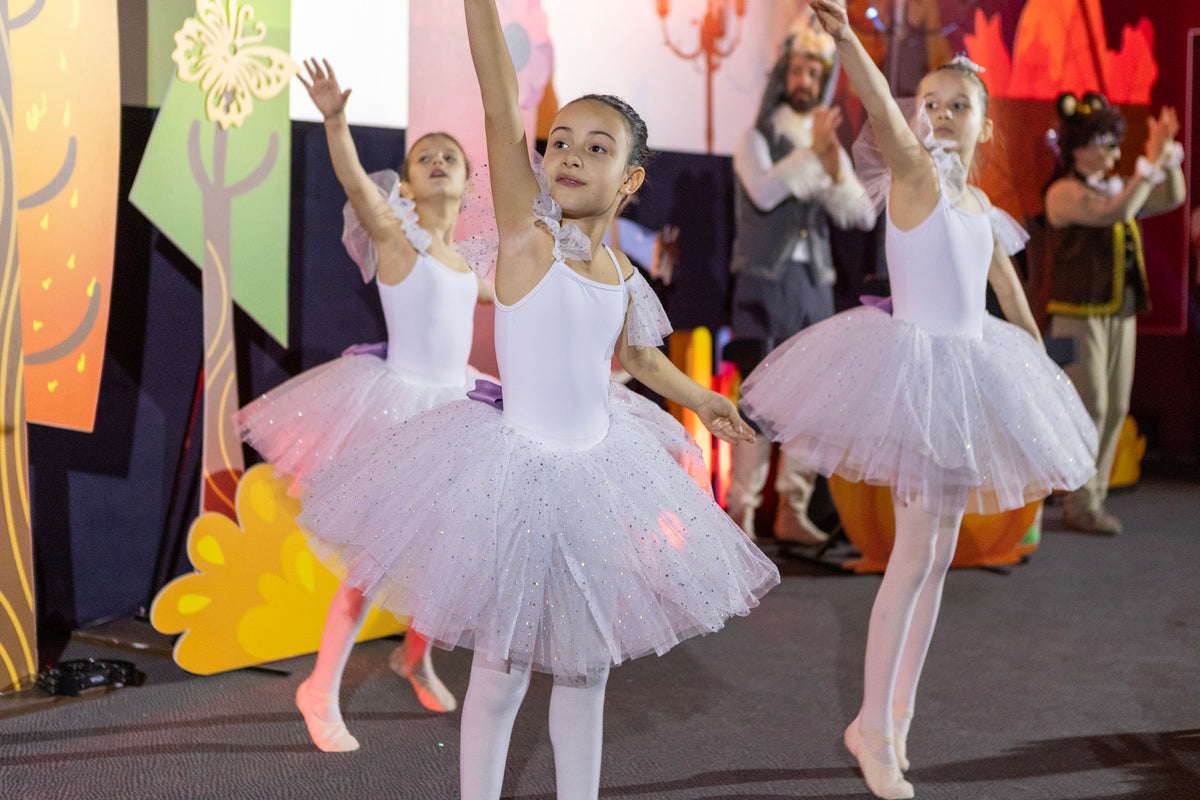 Настап во Skopje City Mall - Декември 2024